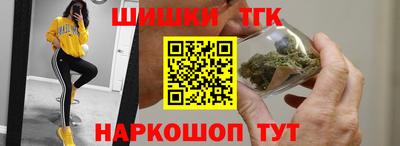 МДПВ Гусев