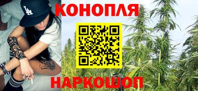 МДПВ Гусев