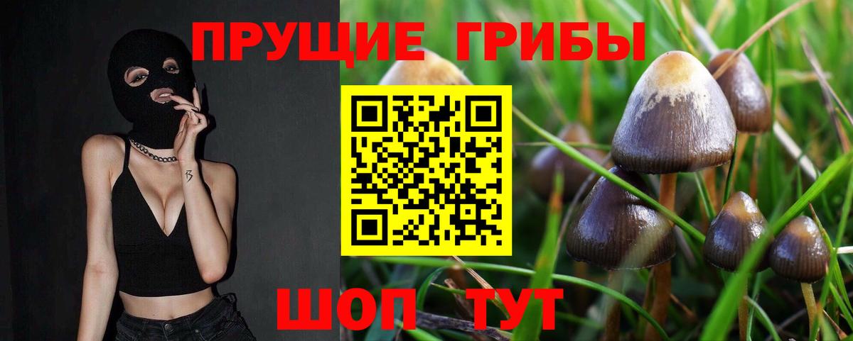 Миасс  Псилоцибиновые грибы мицелий  Вход с VPN  Галлюциногенные грибы MAGIC MUSHROOMS 